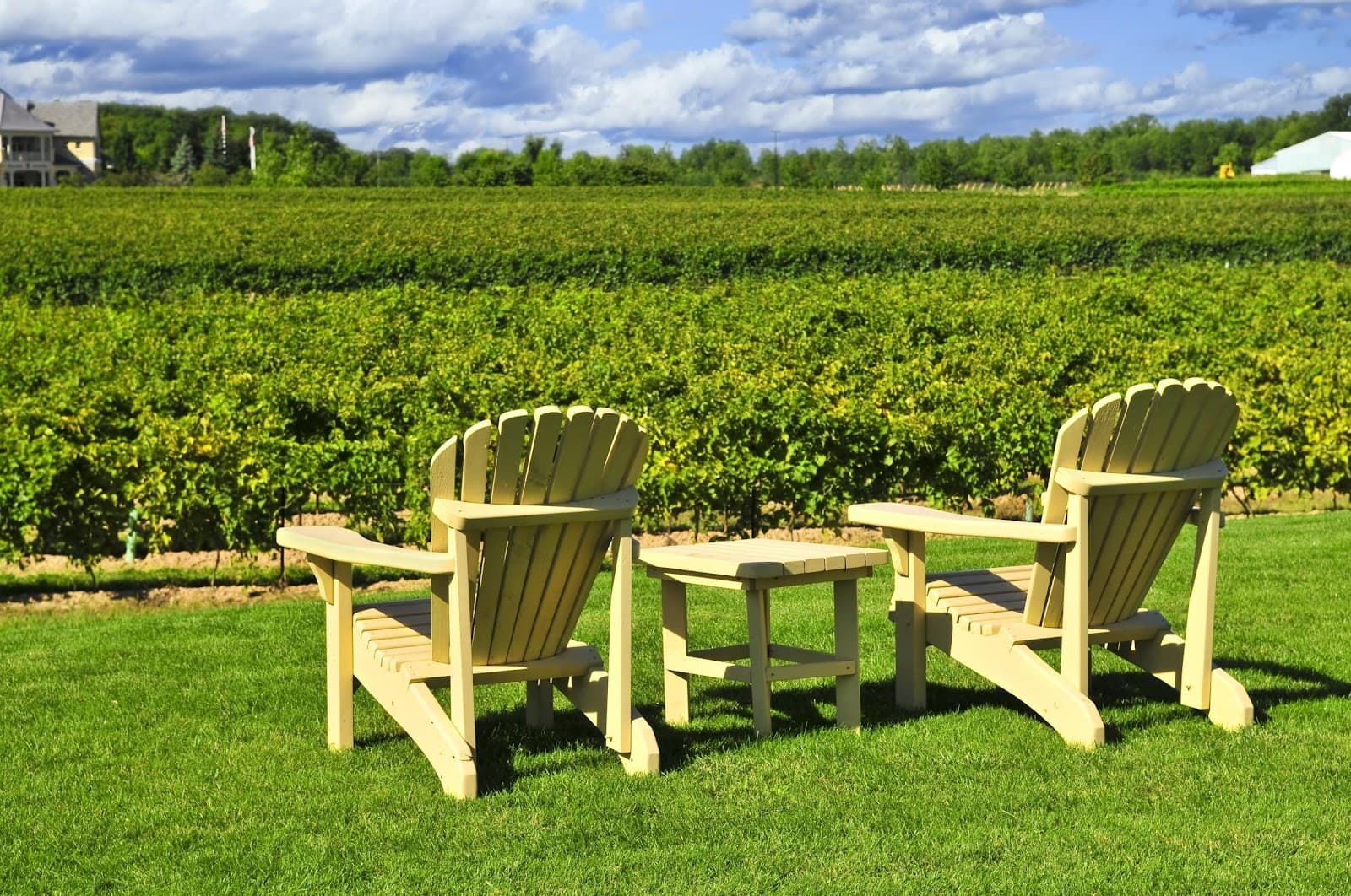 5 Reasons Why Niagara is the Perfect Place to Retire
