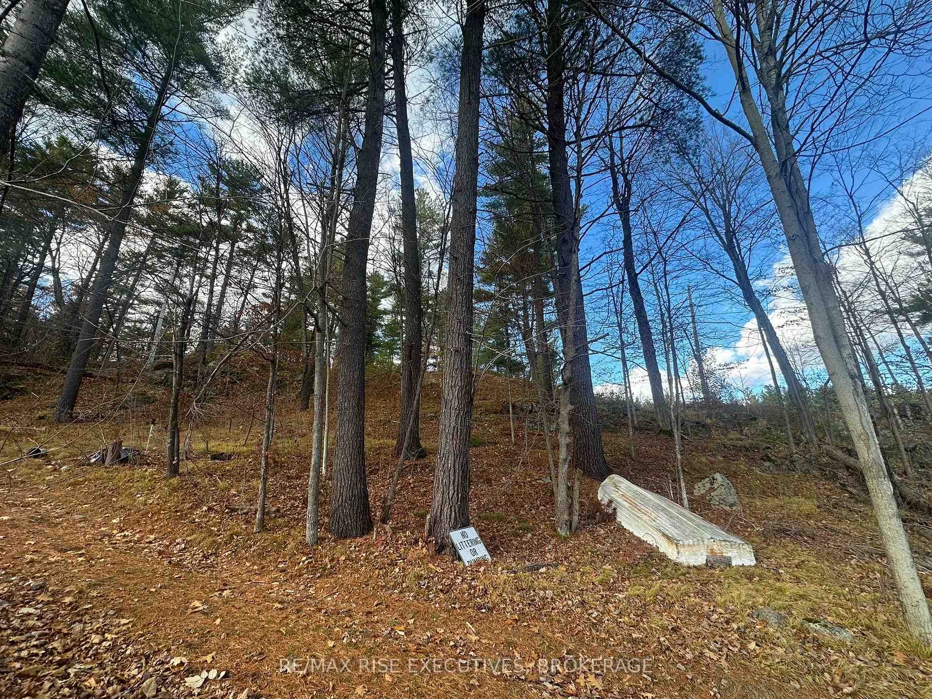 1457 Opeongo Road