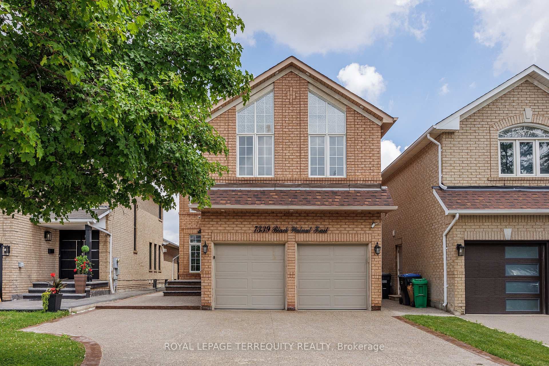 7339 Black Walnut Trail