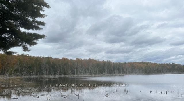 Lt 1, PL 1839 Bull Lake Road