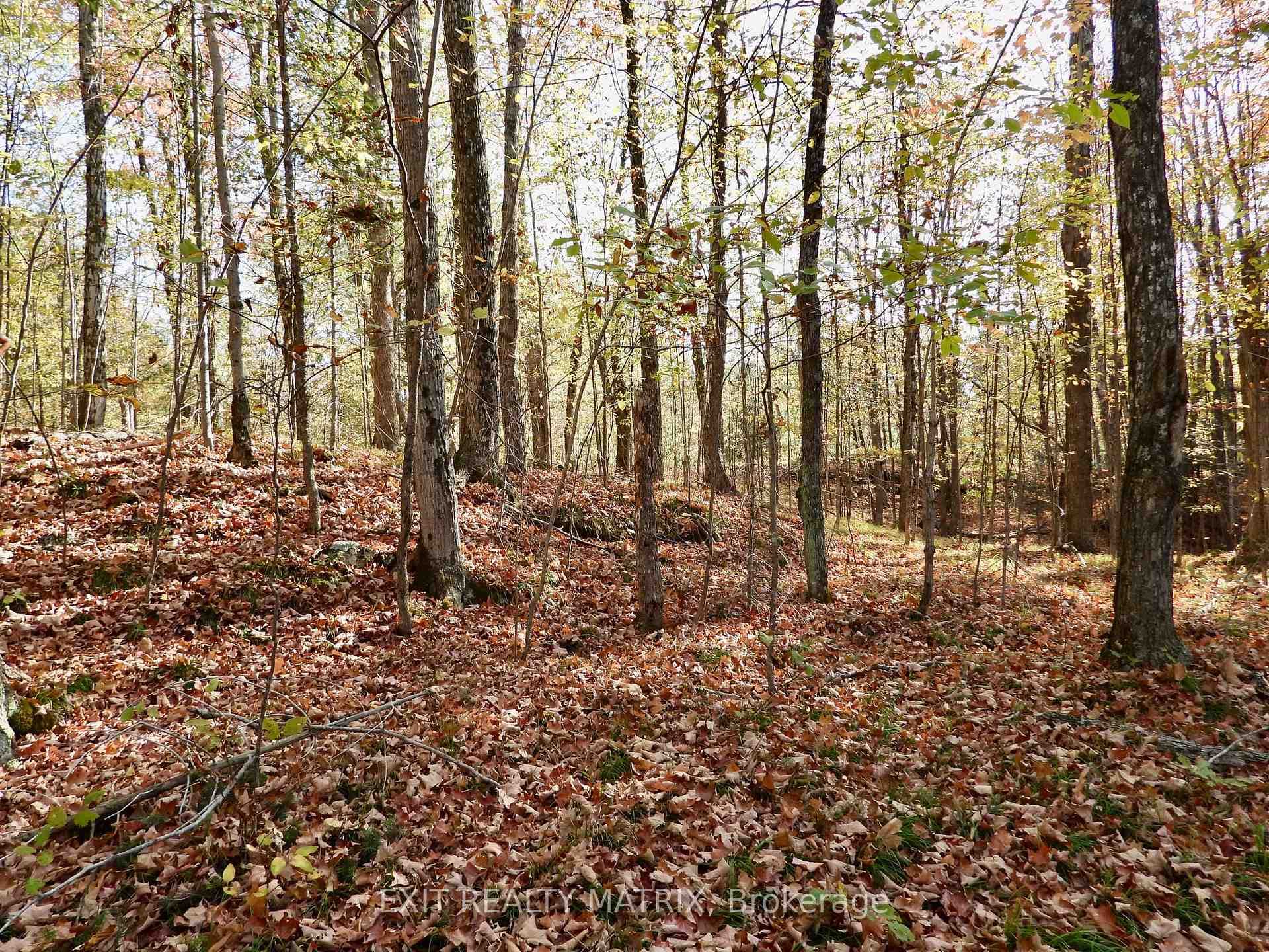 Lot 1 Woodland Park Drive