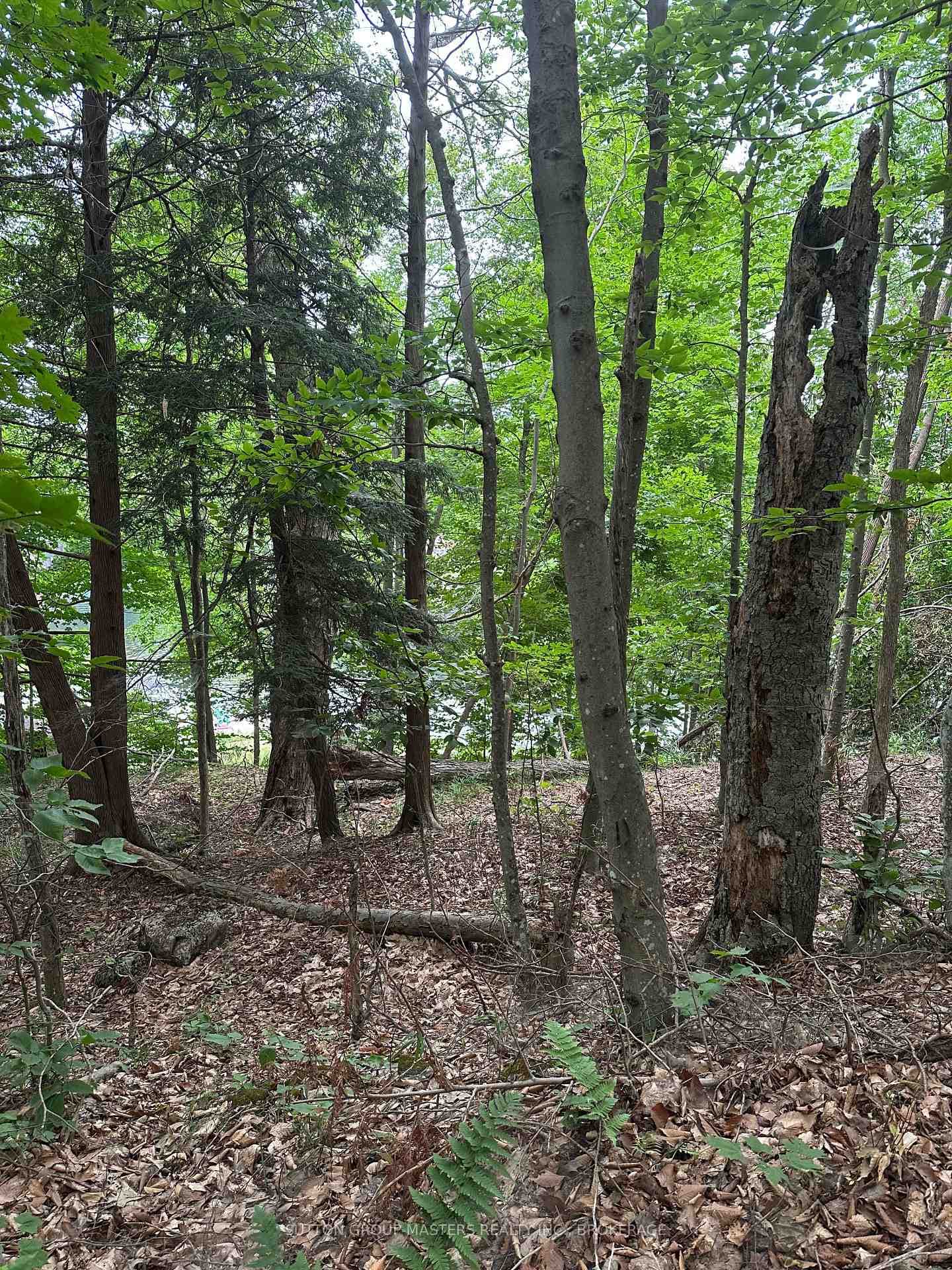 0 SILVER ROCK Lane