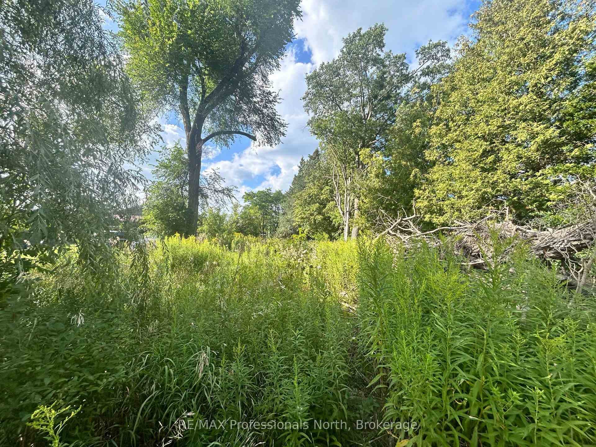 4437 Highway 7 N/A