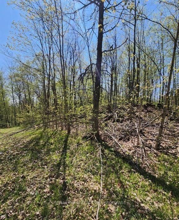 0 Burke Settlement Road