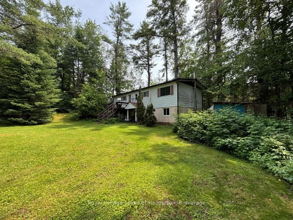 1019 Loyalist Drive