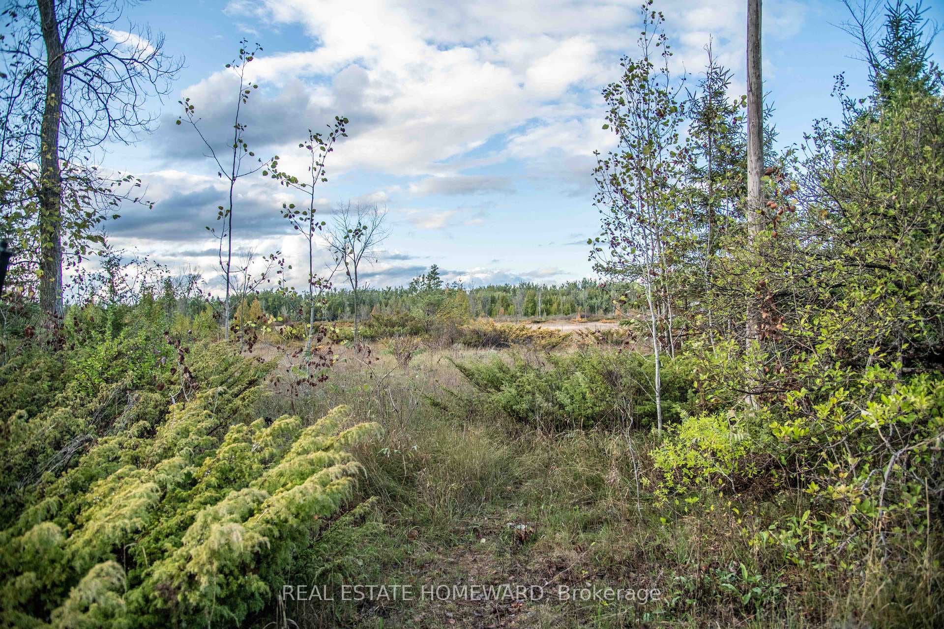 Lot 256 McGuire Beach Road