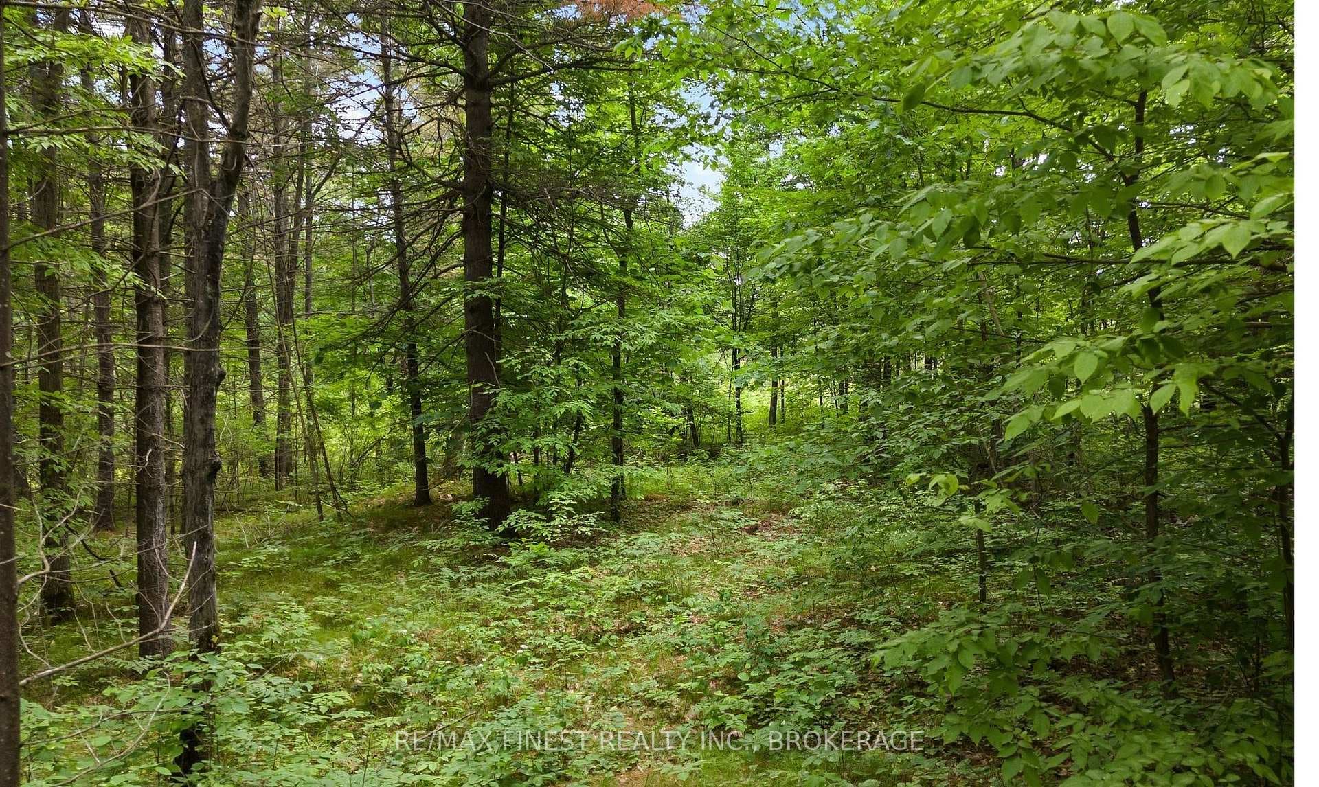 Lot 16 Echo Lake Road