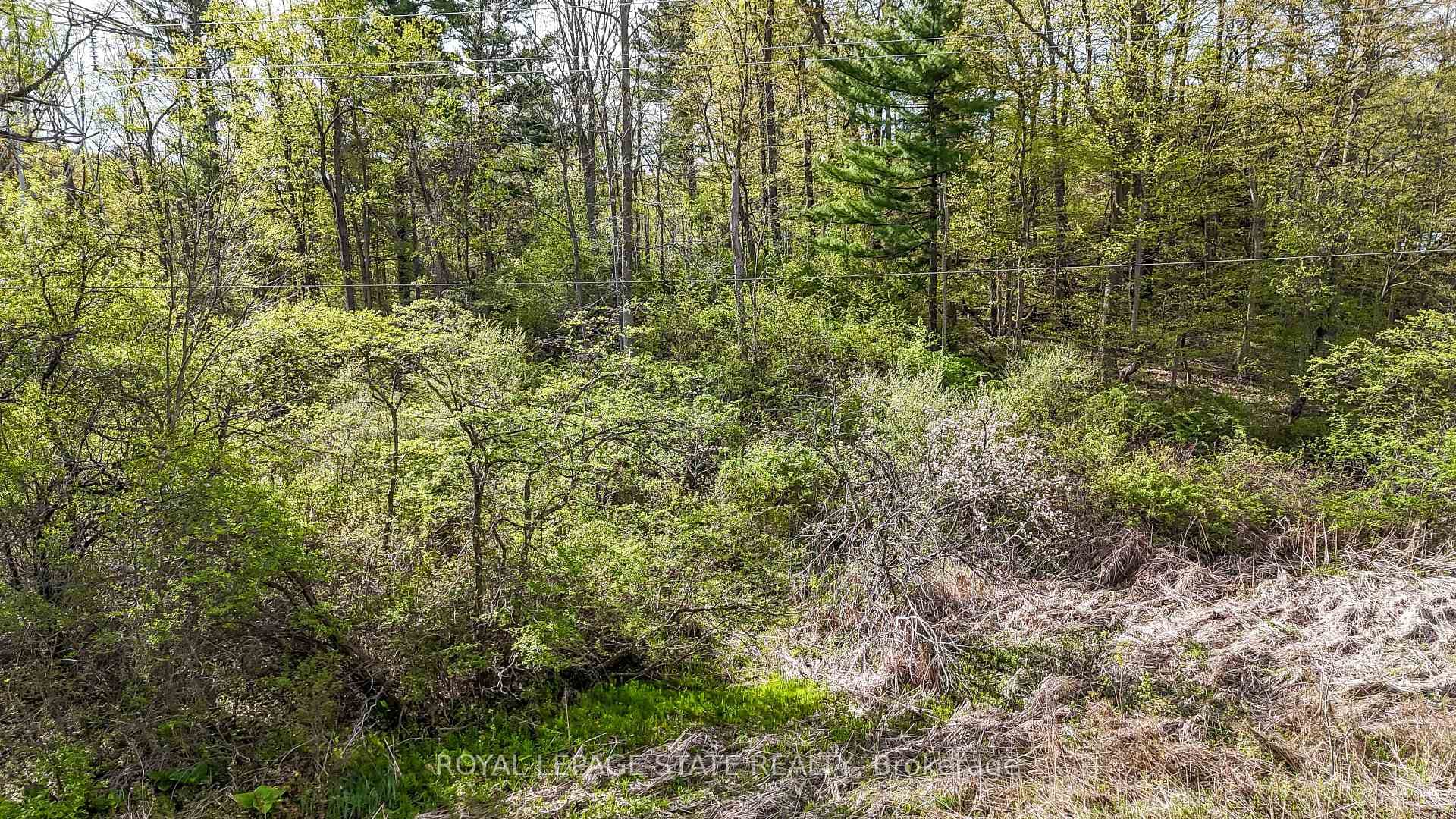 0 Mineral Springs Road