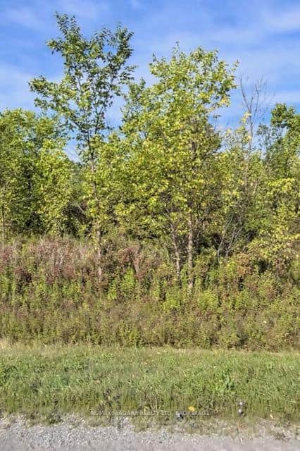 Lot 2 Montrose Road