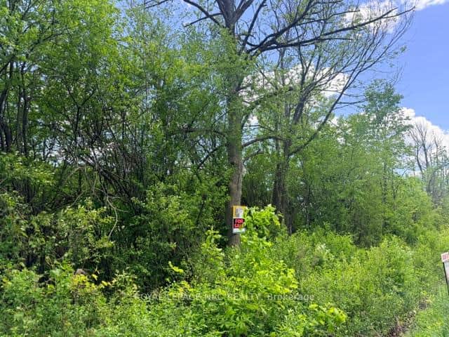 V/L CENTRALIA Avenue