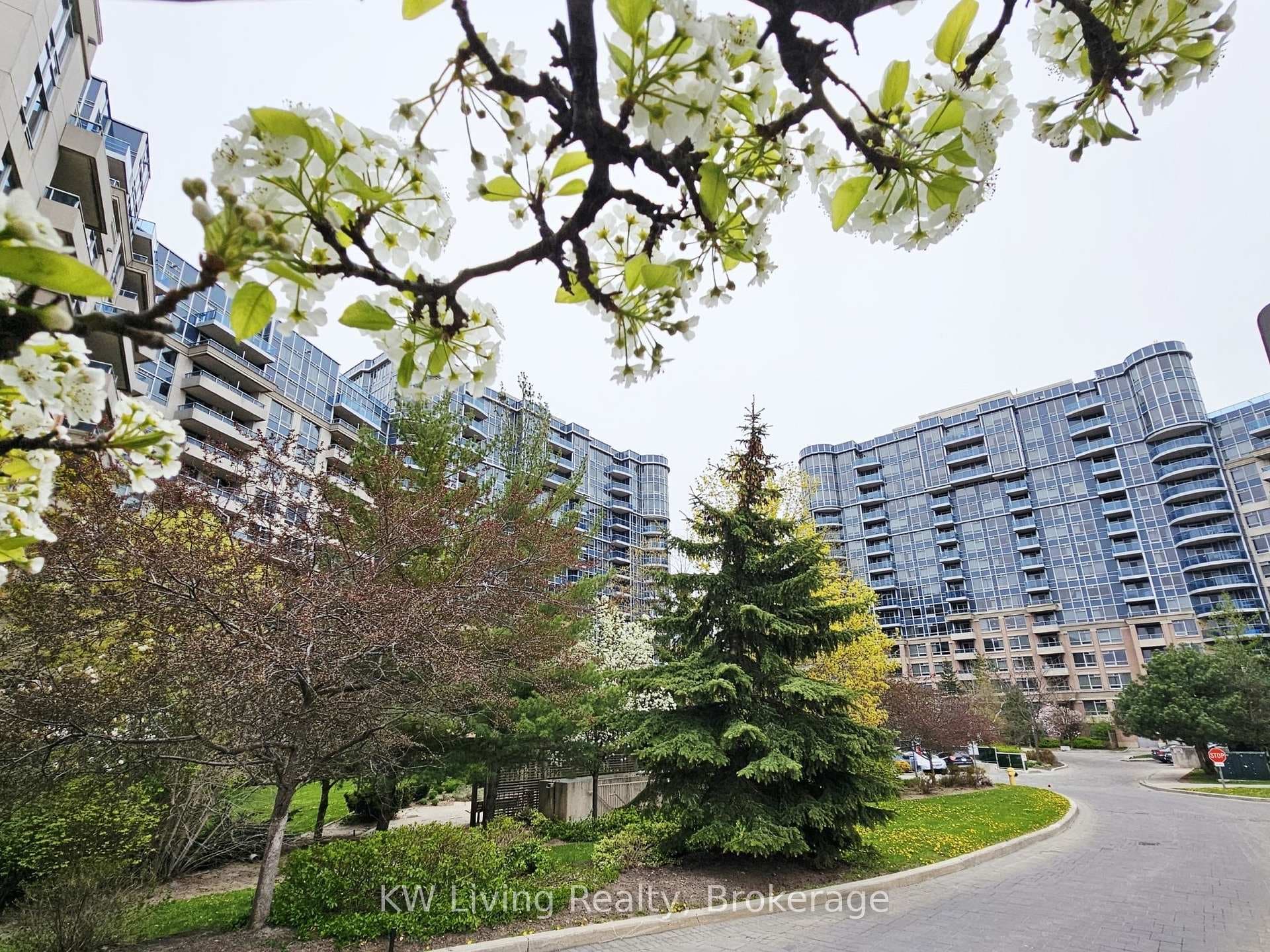 33 Cox Boulevard Unit 1117