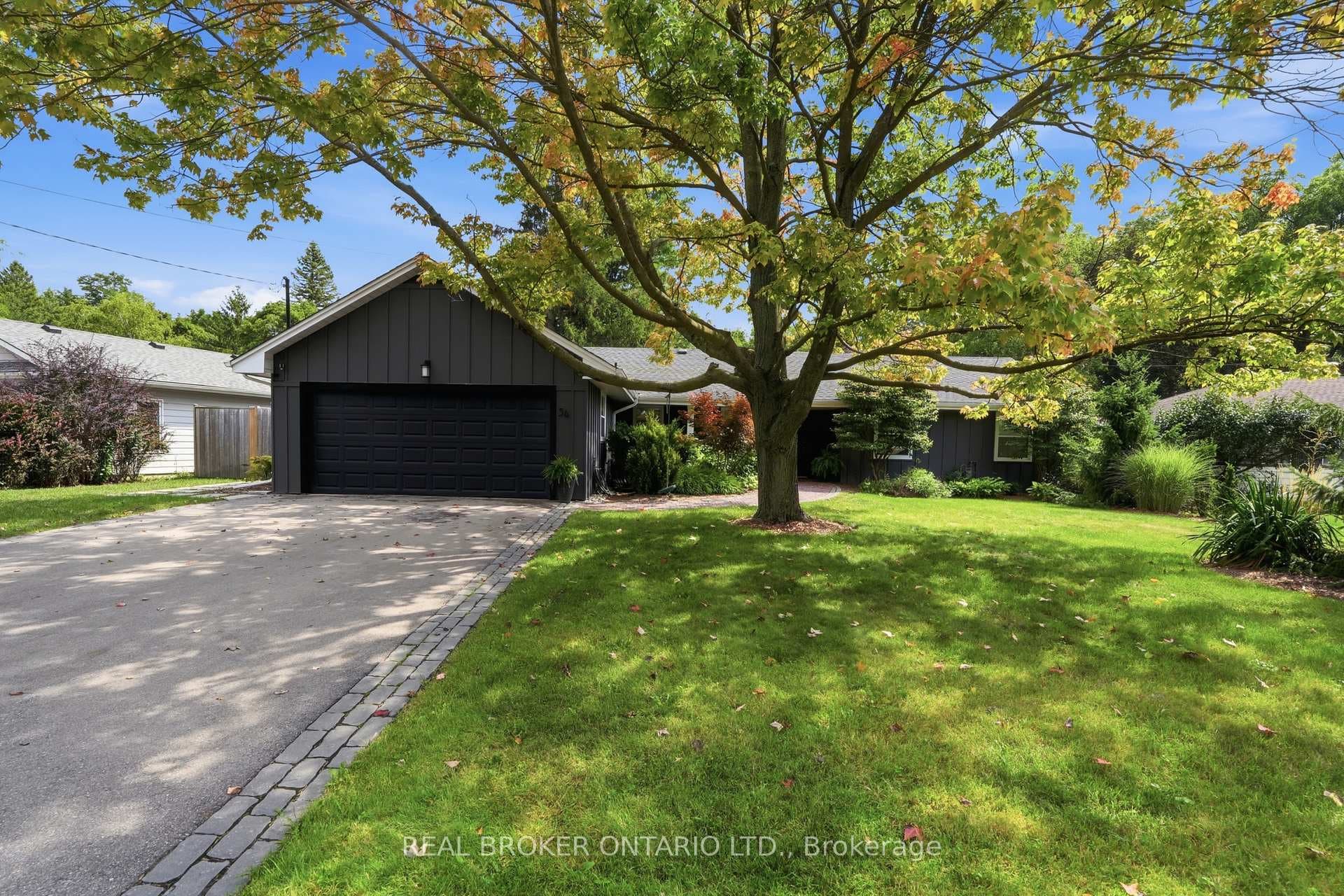 54 Mayfair Avenue