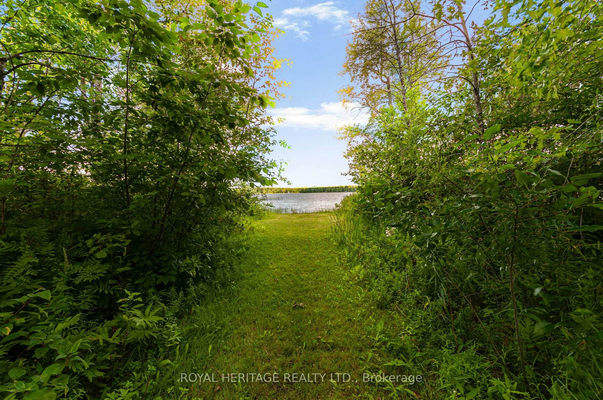 Path to lakefront