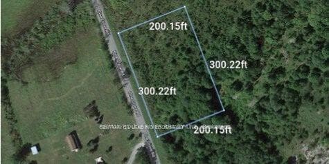 17 Pine Grove Road