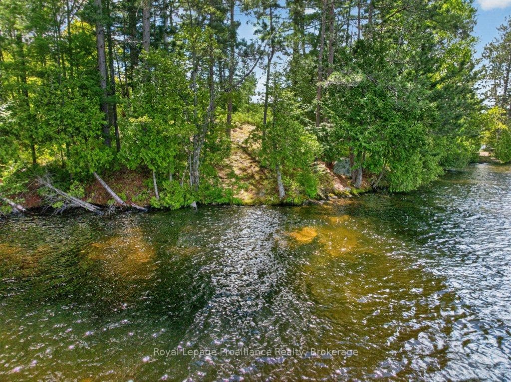 2485 Alf's Bay Lane